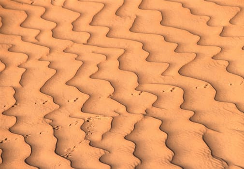 Sand formations and animal tracks in the largest desert in the world,the Rub Al Khali (Empty Quarter),Saudi Arabia.
