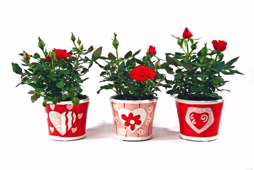 florets