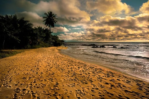 ... the footprints here are not from tourists,of whom there are few here,but from the Batanga children. The Batangas are the people who live here on these coasts. Most of them are fishermen. The children walk out of their village for several hours.