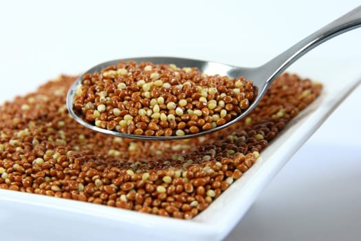 Brown millet