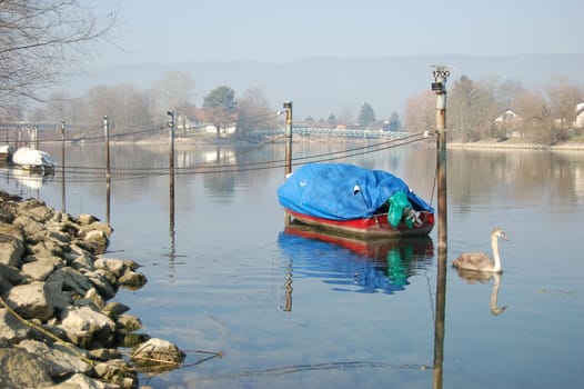 on the Aare