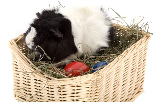 Easter basket