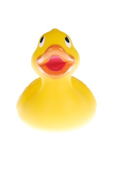 Happy Duck