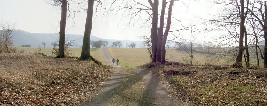 Autumn walk