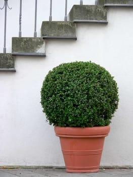 Ball tree