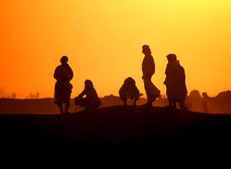 Saudis at the camel race in Taif,Saudi Arabia.