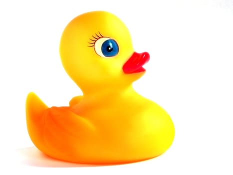 Rubber duck