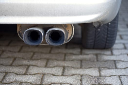 Sports exhaust