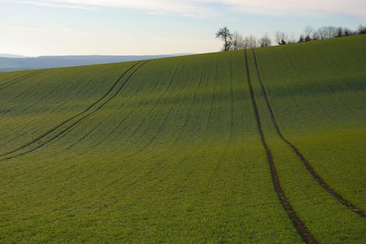 Landscape in the Taunus near Bad Camberg