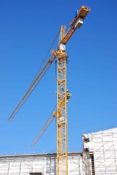 Cranes
