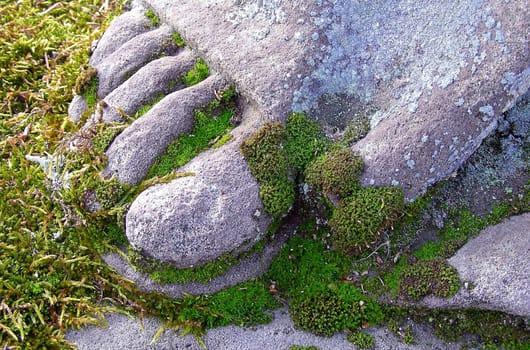 Barefoot,but steadfast .... untouched by time,but not untouched by nature ....