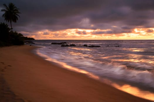 The Last Light