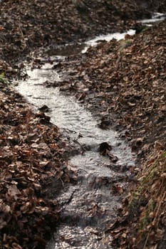 Idyllic,natural watercourse