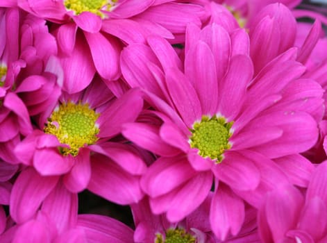 for prose....:-)