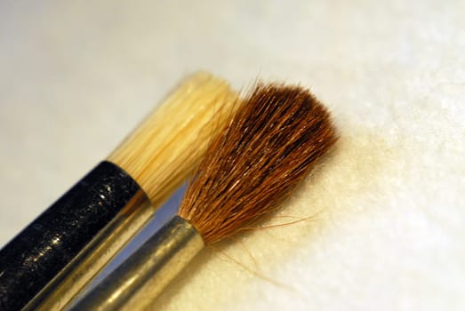 Hair and bristle brush