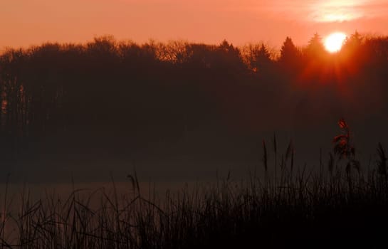 This morning at the lake