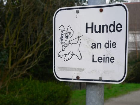 Dog ban