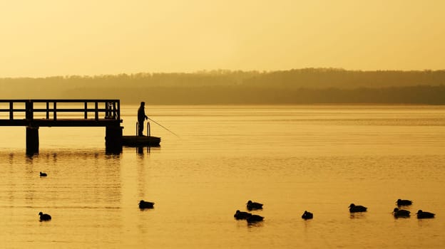 The Angler