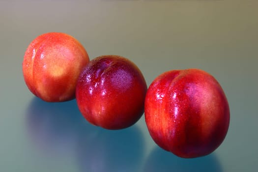 Nectarine row
