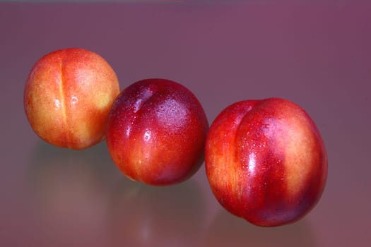 Nectarine treble