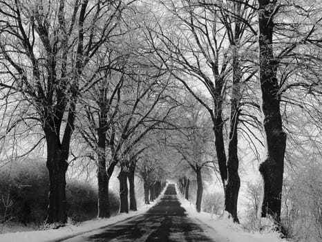 The last few days there was no snow,but this road,which I drive to work every day,was really nice and smooth,like almost everyone here in Mecklenburg/Vorpommern. The winter service usually starts when the snow has already melted and
