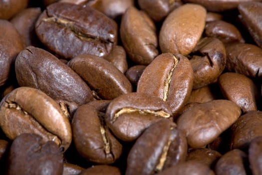 Background Coffee Beans