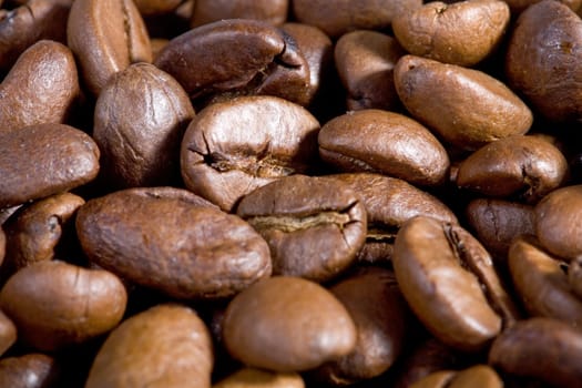 Background Coffee Beans