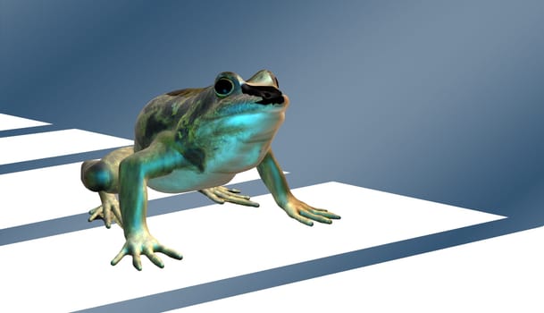 Toad