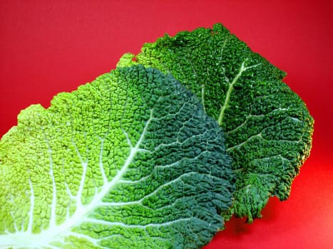 only cabbage leaves