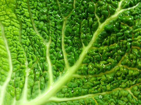 Leaf structure