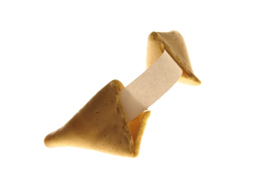 Fortune cookie