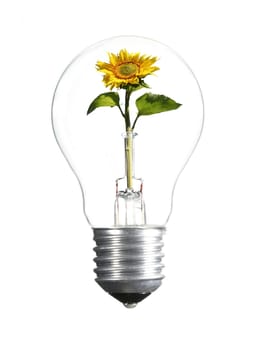 Environmental protection