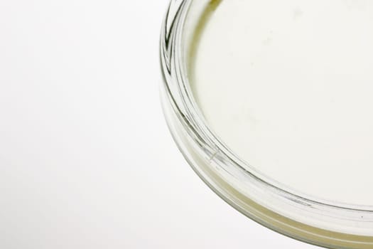 Petri dish