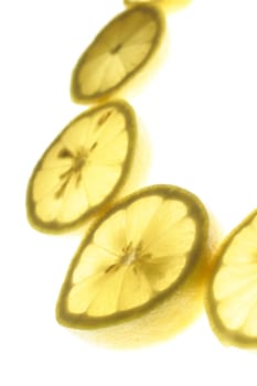 Lemon slices in a semicircle