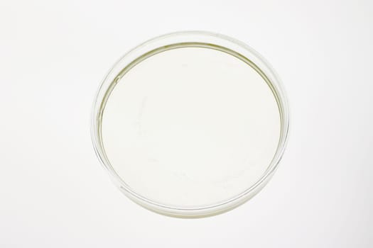 Petri dish