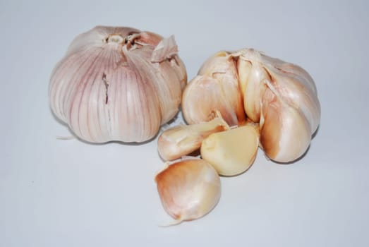 Garlic