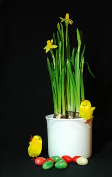 Easter composition