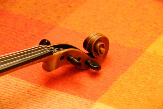 Viola
