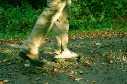 Forest path,legs