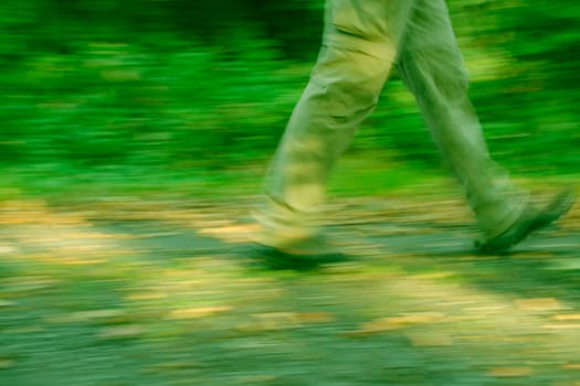 Forest path,legs