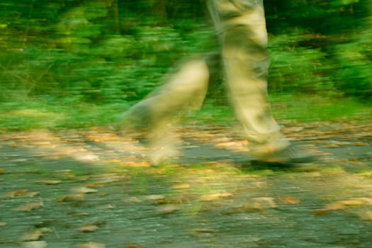 Forest path,legs