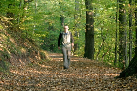 Hikers,forest path