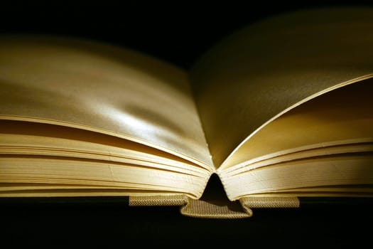 Book