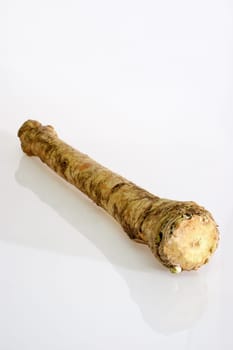 Root vegetable