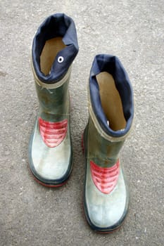 rubber boots or wellingtons