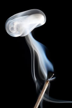 Burnt match