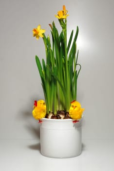 Easter is coming soon