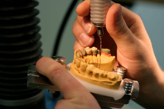 Dentistry,Model