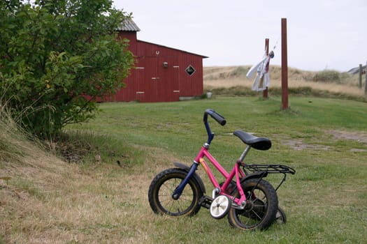 Garden,bicycle with training wheels
