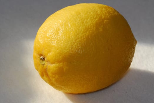 Lemon